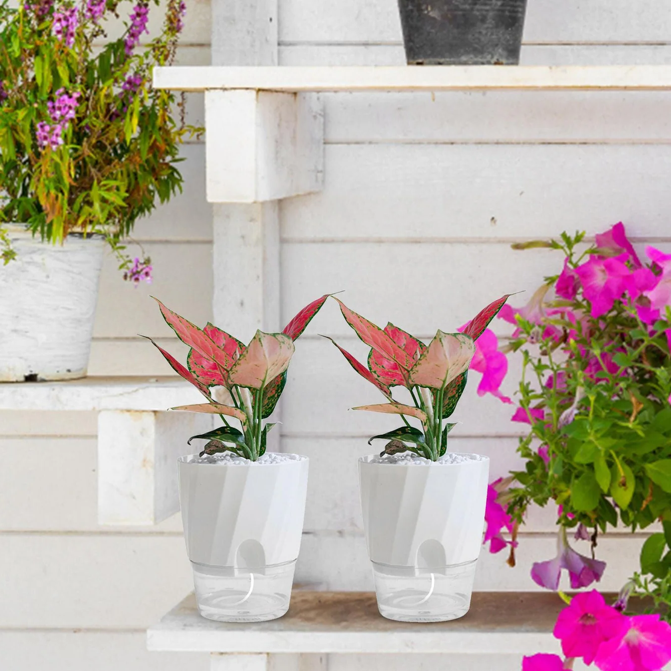 Self Watering Planter