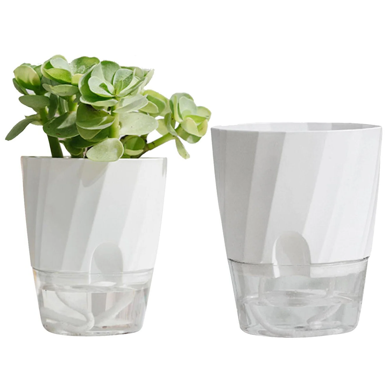 Self Watering Planter