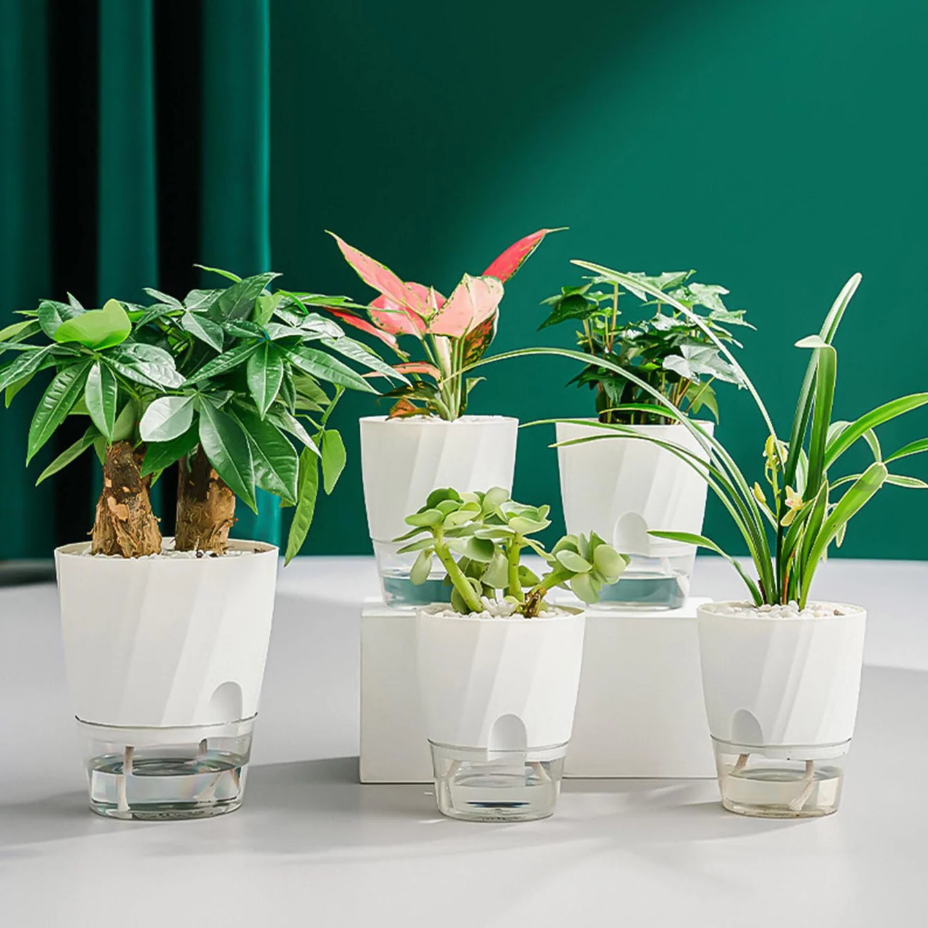 Self Watering Planter