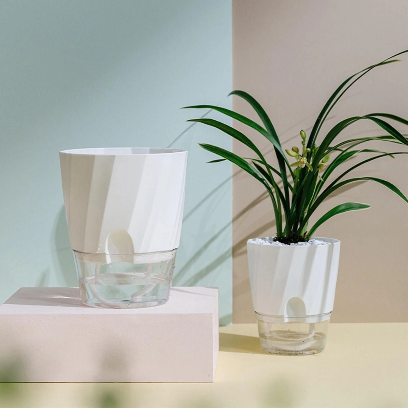 Self Watering Planter